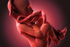 O que toda grávida deve saber sobre os movimentos do bebê na barriga