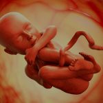 Gestação sem embrião: entenda a gravidez anembrionária