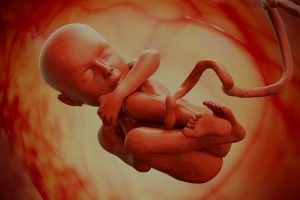 Gestação sem embrião: entenda a gravidez anembrionária