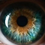 Por que o oftalmologista dilata nossas pupilas? Entenda mais